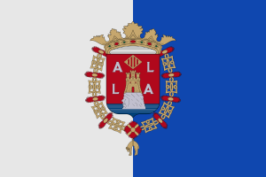 Vlag Alicante