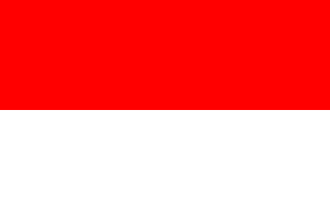 Indonesische vlag