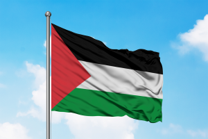 Palestijnse Vlag