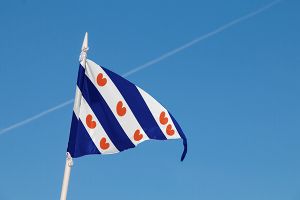 Puntvlag Friesland