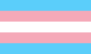 Transgendervlag - Monica Helms