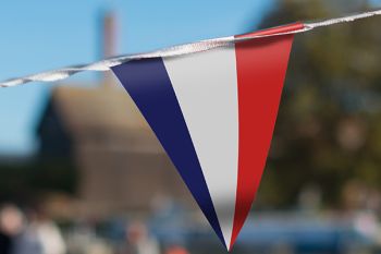 Nederlandse Puntvlag