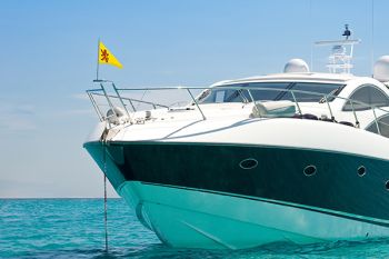 Puntvlag Zuid-Holland